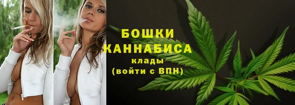 СК Балахна