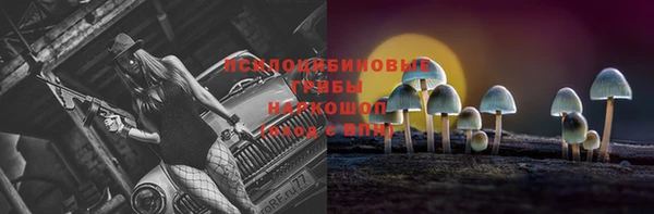 СК Балахна