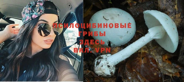 марихуана Баксан